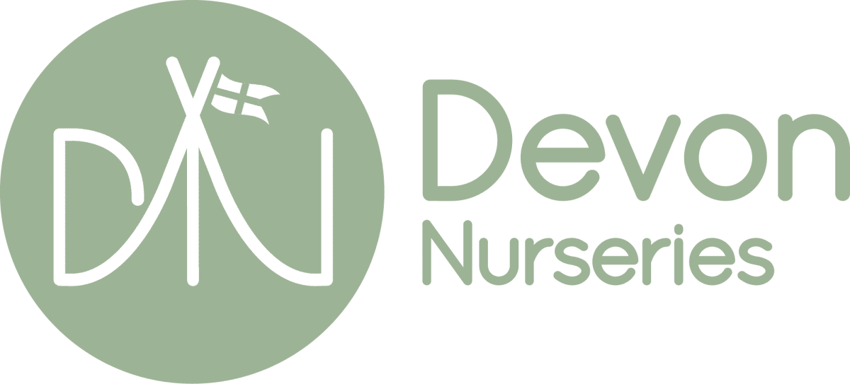 Nursery Fees Nurseries Near Me Prices Funding nursery-fees-nurseries-near-me-prices-funding